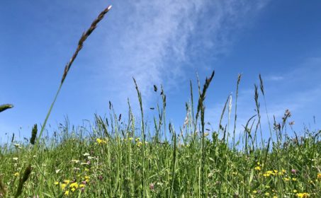 День славянской письменности и культуры-2014