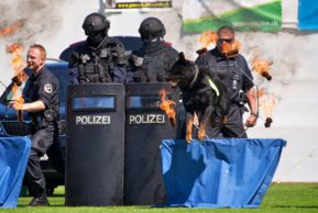 Цюрих: юбилей четвероногой полиции