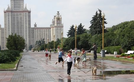 Страшные секреты «Собачьего рая»