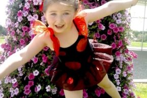 Чудесная встреча