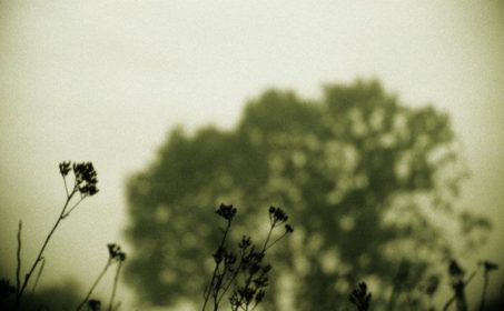 Серебро и золото