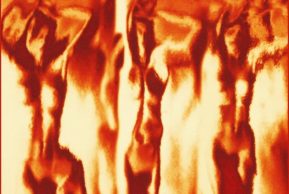 Баллада о черной розе. Сеитумер Эмин