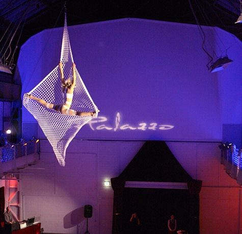Euroviva Entertainment Aerial Net 1