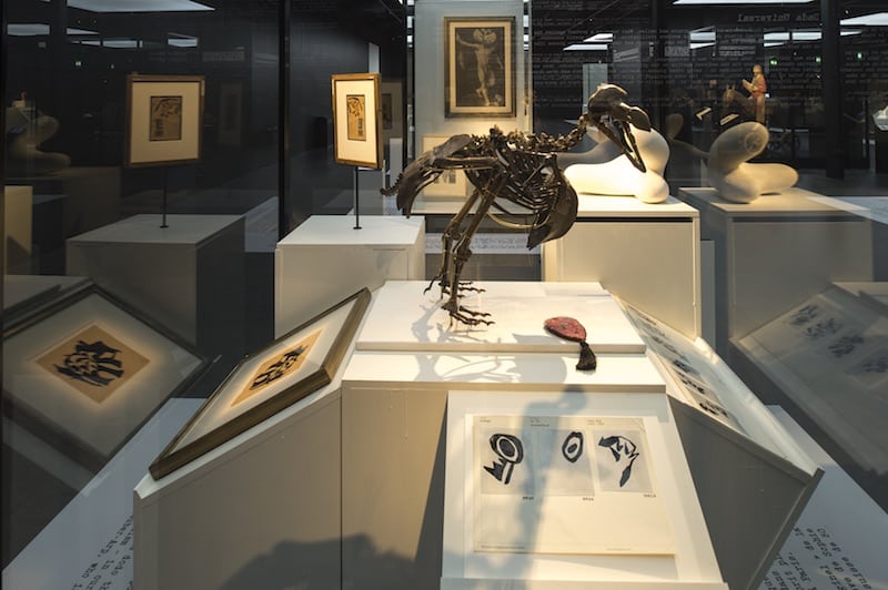 dodo