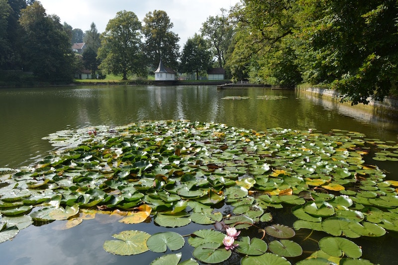 Рукотворное чудо – парковая зона трех прудов Бубенвайер (Bubenweiher). 