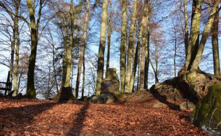 Наполеон и Гельветическая республика