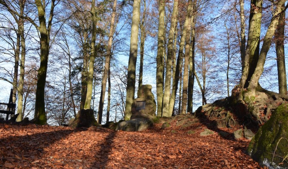 Наполеон и Гельветическая республика