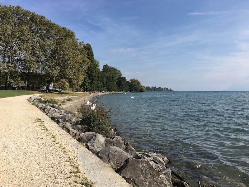 Гуляющий вдоль Лиммата в Лозанне раньше или позже набредет на бюхербокс.