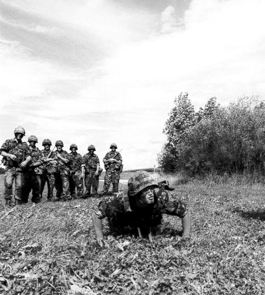 Письма из швейцарской армии (2004-2005). Текст повестки