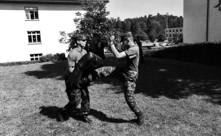 Письма из швейцарской армии (2004-2005). Реформа «Армия ХХI»