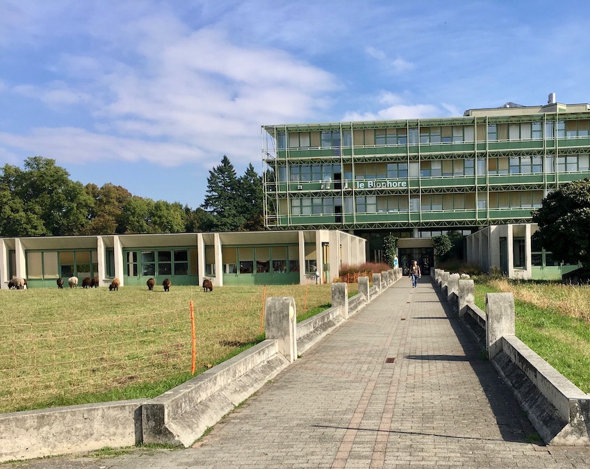 Почему я выбрала лингвистику? Признание в любви