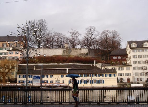 Год Тигра. Стихи Евгения Шинкарева