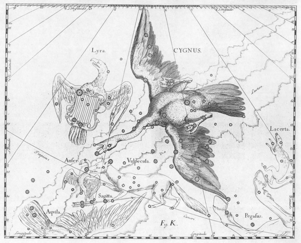 Созвездия Лиры, Лебедя и Лисички в Атласе Яна Гевелия. (Общественное достояние).