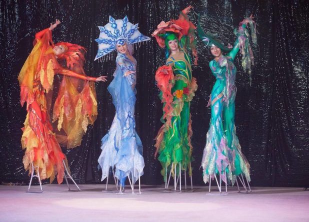 Московский цирк Юрия Никулина. ICE SHOW