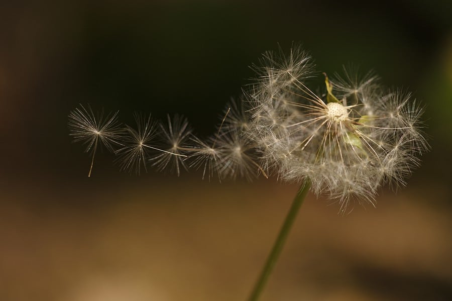 Притяжение