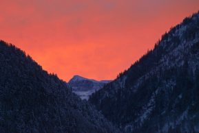 Жизнь полет