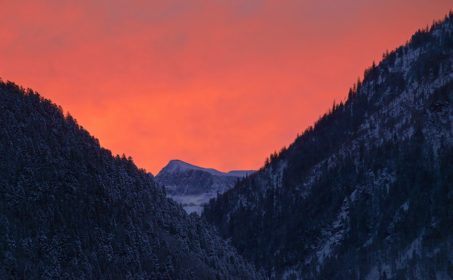 Жизнь полет