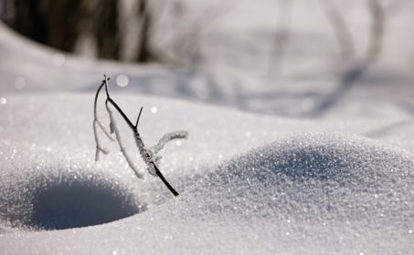 Гора Титлис