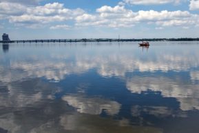 Гори, моя звезда