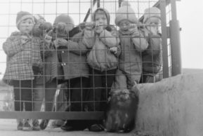 Палитра поэта. ОБЭРИУ