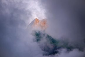 Над пропастью во ржи