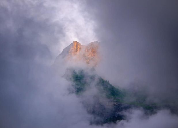 Над пропастью во ржи