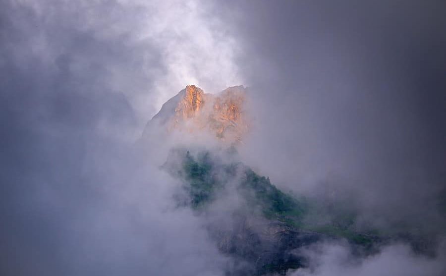 Над пропастью во ржи