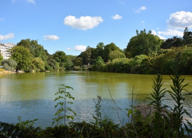 Размышления среды