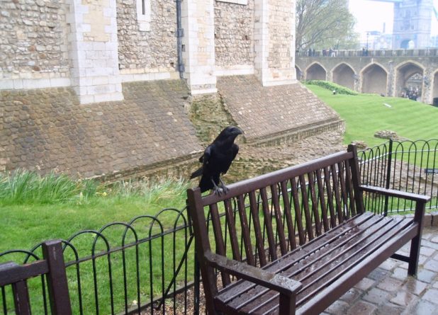 Реки времени