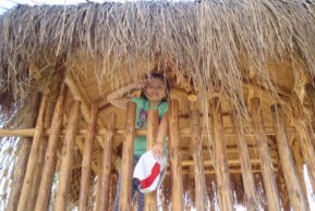 Теплые края