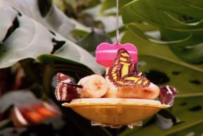 Пустоты нет