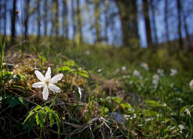 Споткнувшемуся