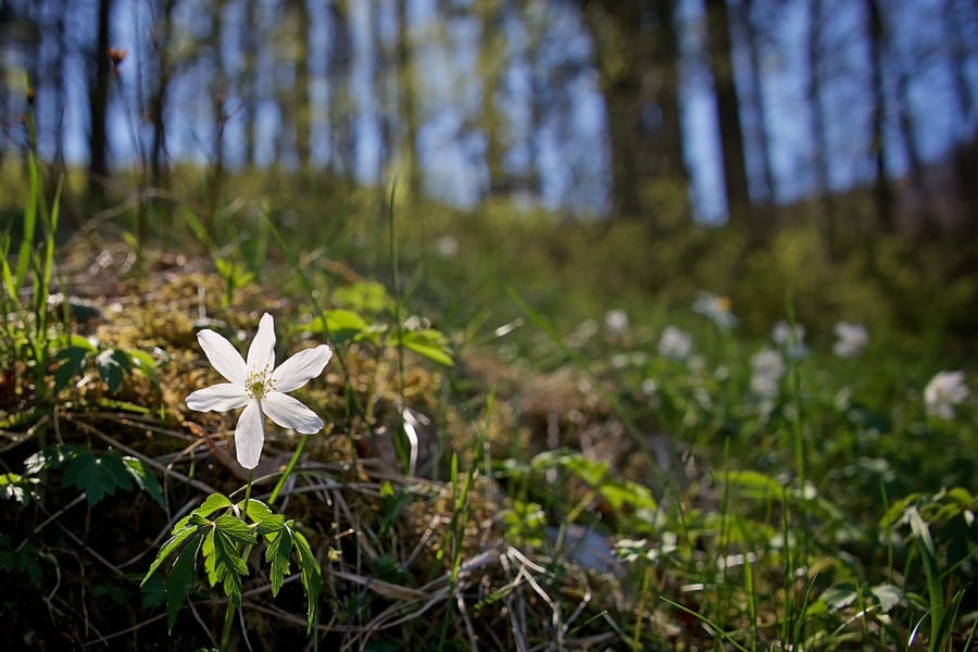 Споткнувшемуся