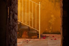 На круги своя