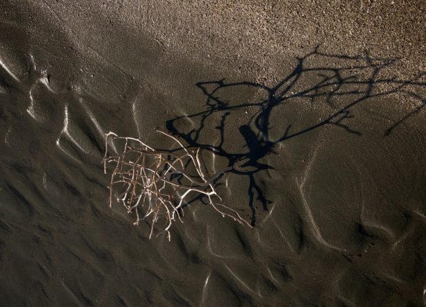 Застряло как в паху