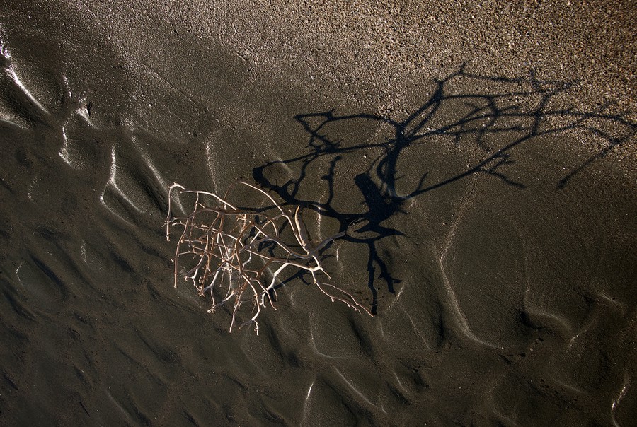 Застряло как в паху