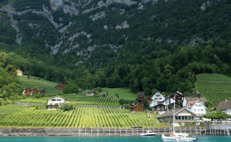 Спутница дождя