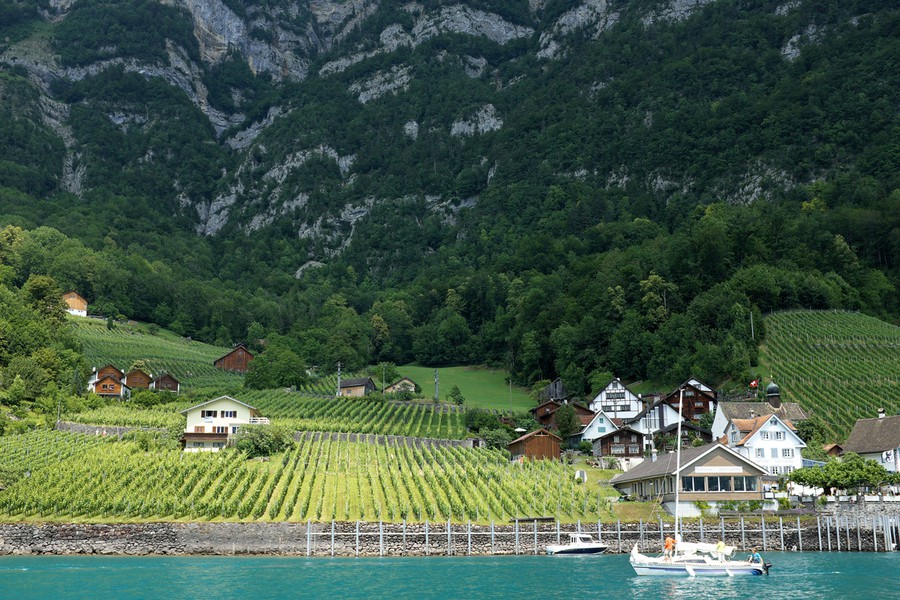 Спутница дождя