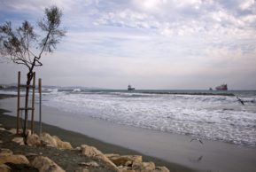 Иные берега