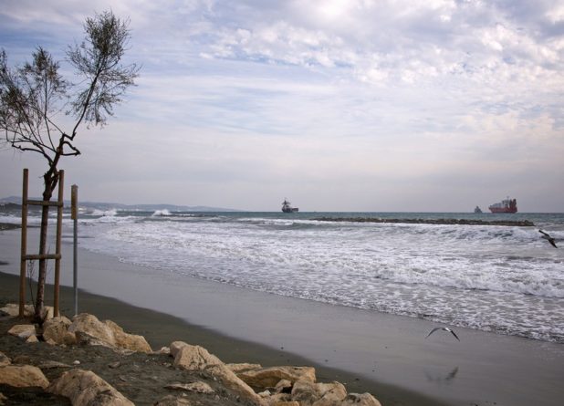 Иные берега