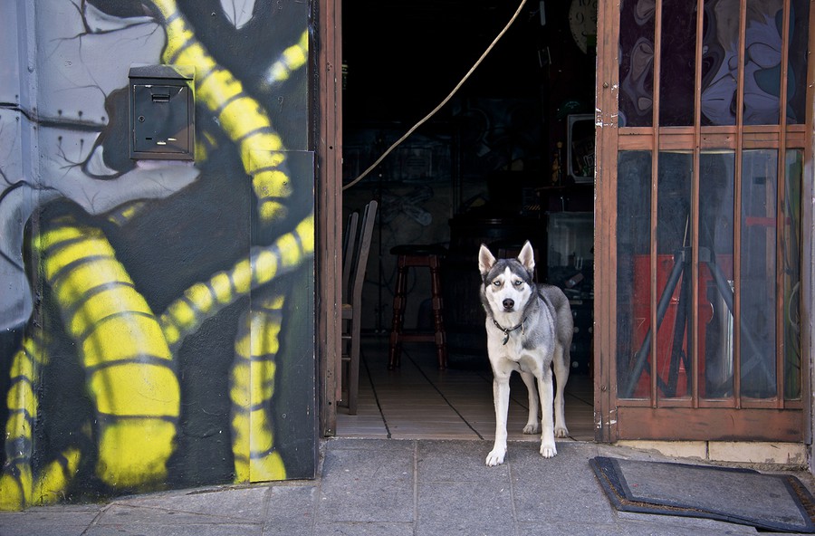 Одному политику