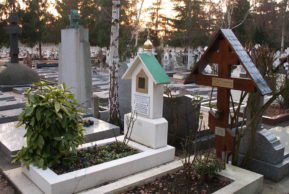 Русские березы под Парижем