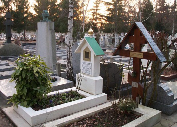 Русские березы под Парижем