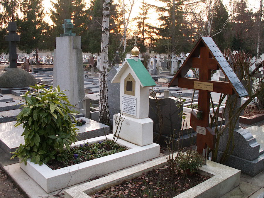 Русские березы под Парижем