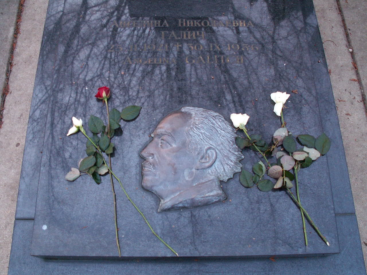 Русские березы под Парижем