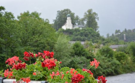 Юрист Шанин