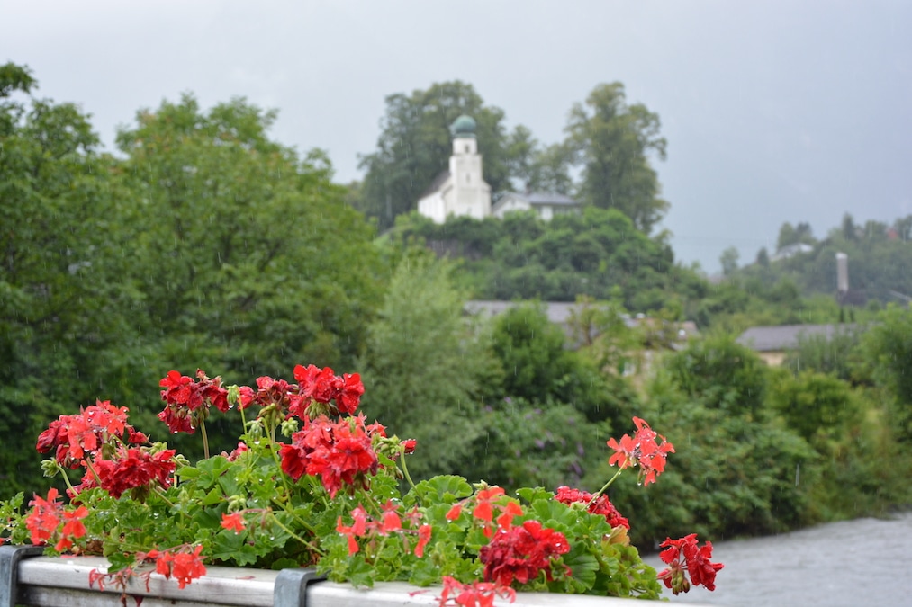 Юрист Шанин