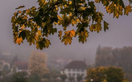 Реквием домашним тапочкам. Андрей Федорченко