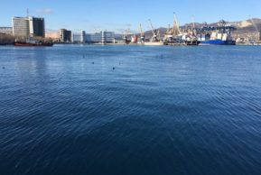 Морские порты — маяки экономики