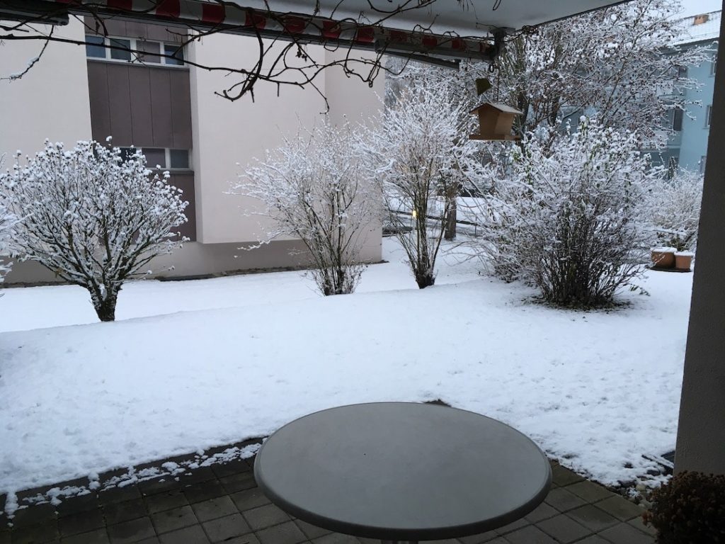 Обрезка роз